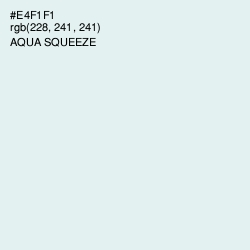#E4F1F1 - Aqua Squeeze Color Image